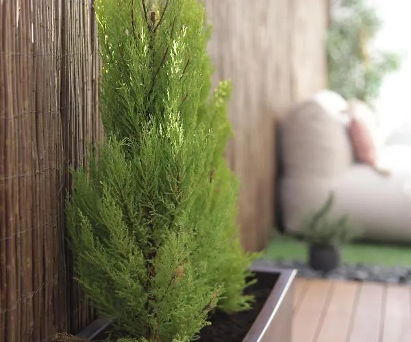 Apartament Supertubos Terrace *